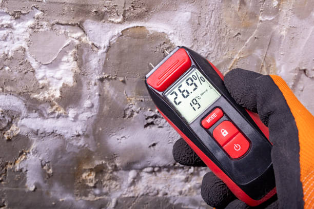 Best Mold Remediation for Schools in Dalworthington Gardens, TX