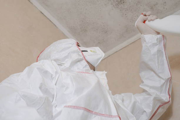 Best Post-Flood Mold Remediation in Dalworthington Gardens, TX